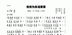 夜夜为你泪蒙蒙