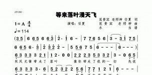 等来落叶漫天飞