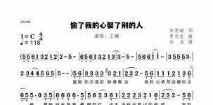 偷了我的心娶了别的人