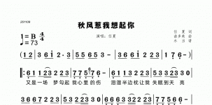 秋风惹我想起你
