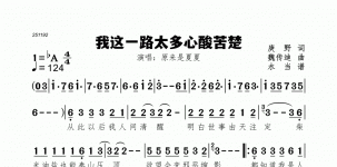 我这一路太多心酸苦楚