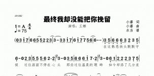 最终我却没能把你挽留