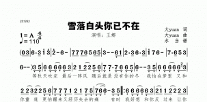 雪落白头你已不在