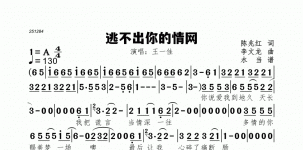 逃不出你的情网