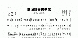 满城飘雪再无你