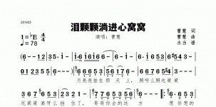 泪颗颗淌进心窝窝