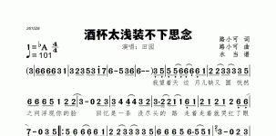 酒杯太浅装不下思念