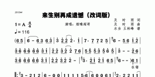 来生别再成遗憾改词版