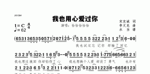 我也用心爱过你