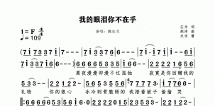 我的眼泪你不在乎