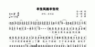 半生风雨半生坎