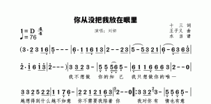 你从没把我放在眼里