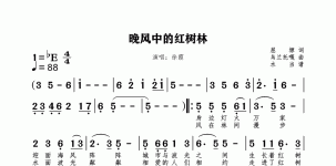 晚风中的红树林