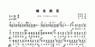 城北的花和弦版
