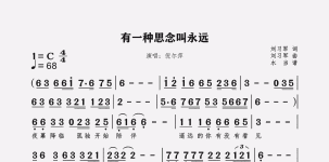 有一种思念叫永远