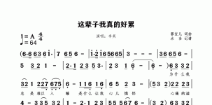 这辈子我真的好累