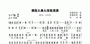 我在人来人往处流浪