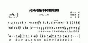 问风问雨问不到你归期