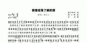 我曾经发了疯的想