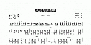 玫瑰也曾温柔过