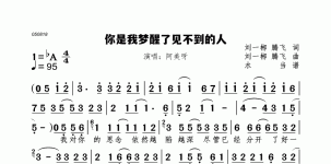 你是我梦醒了见不到的人