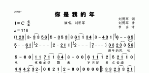 你是我的年