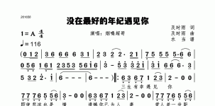 没在最好的年纪遇见你