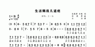 生活赐我几道疤