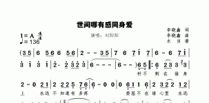 世间哪有感同身爱