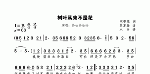 树叶从来不是花