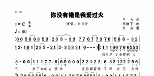 你没有错是我爱过火