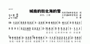 城南的街北海的雪