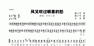 风又吹过眼里的愁