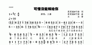 可惜没能嫁给你