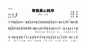 等我真心耗尽