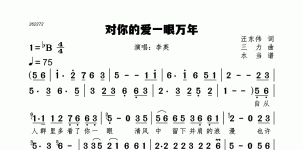 对你的爱一眼万年