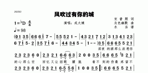 风吹过有你的城