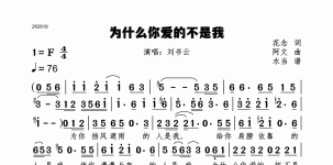 为什么你爱的不是我