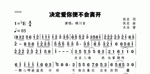 决定爱你便不会离开