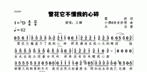 雪花它不懂我的心碎