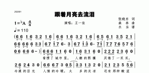 跟着月亮去流泪